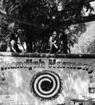 Mandjah Harmony on Bars